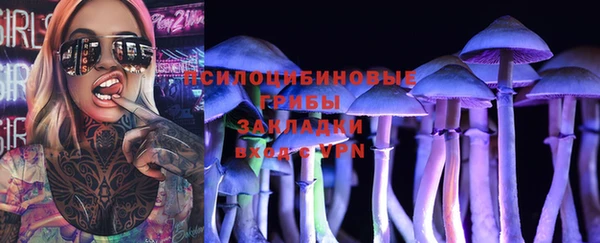 прущий лед Белокуриха