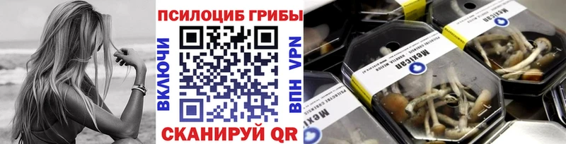 Галлюциногенные грибы мицелий  цена   Таруса 
